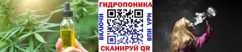 наркотики  Курчалой  Еда ТГК марихуана 