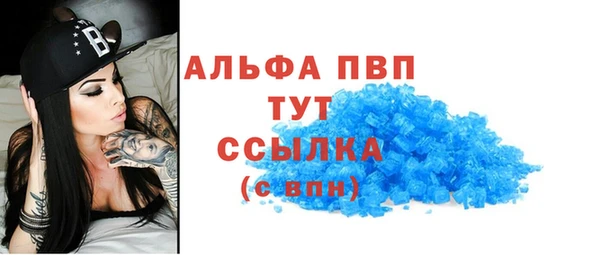 ПСИЛОЦИБИНОВЫЕ ГРИБЫ Касимов
