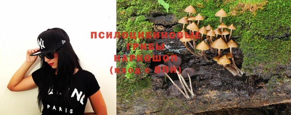 шишки Карталы