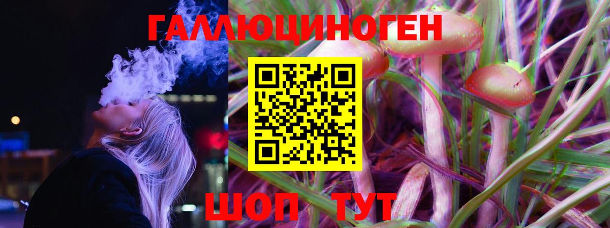 купить   Вход с VPN  Курчалой  Псилоцибиновые грибы Magic Shrooms 